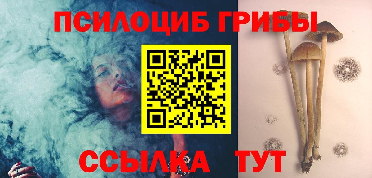 Шарыпово  Галлюциногенные грибы мухоморы  Псилоцибиновые грибы прущие грибы  Вход с VPN 