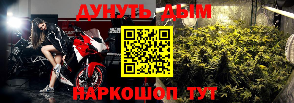 Конопля Bruce Banner  Вход с VPN  Каннабис конопля  Шишки марихуана марихуана  Шарыпово 